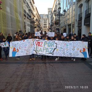 TU VOZ POR LA PAZ