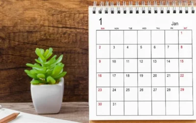 Calendario 24-25